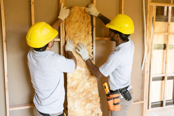 Best Insulation Repair Services  in Mcsherrystown, PA